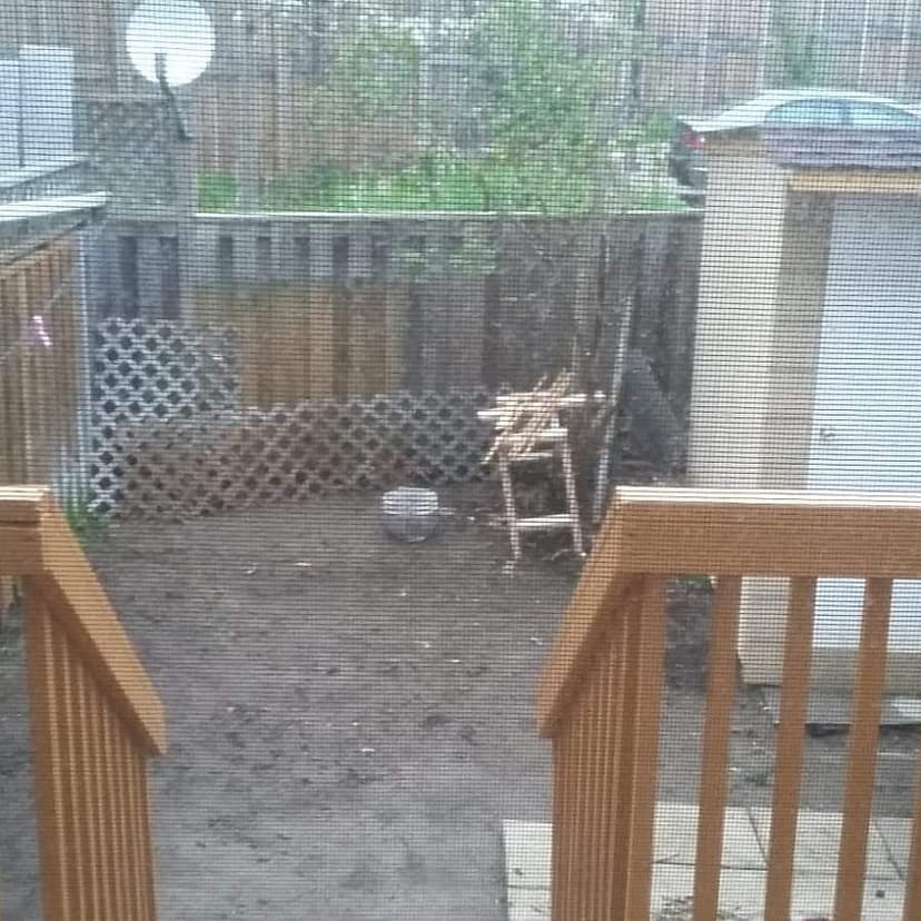 walkway picture before